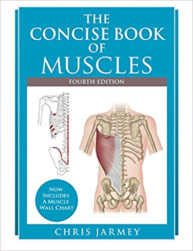 concise book of muscles v4